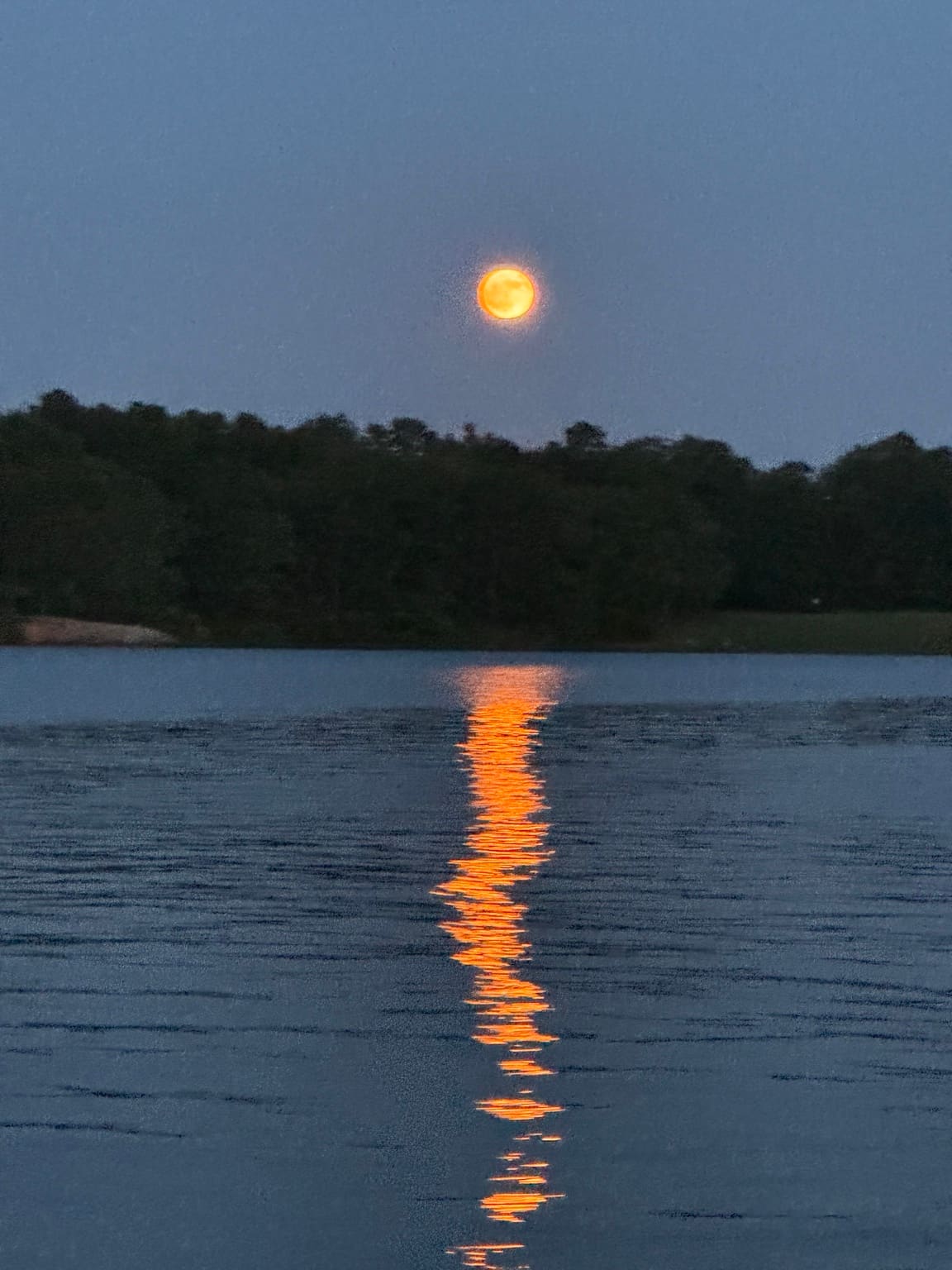 Amber light reflecting in a long column across a dark, still Arkansas lake